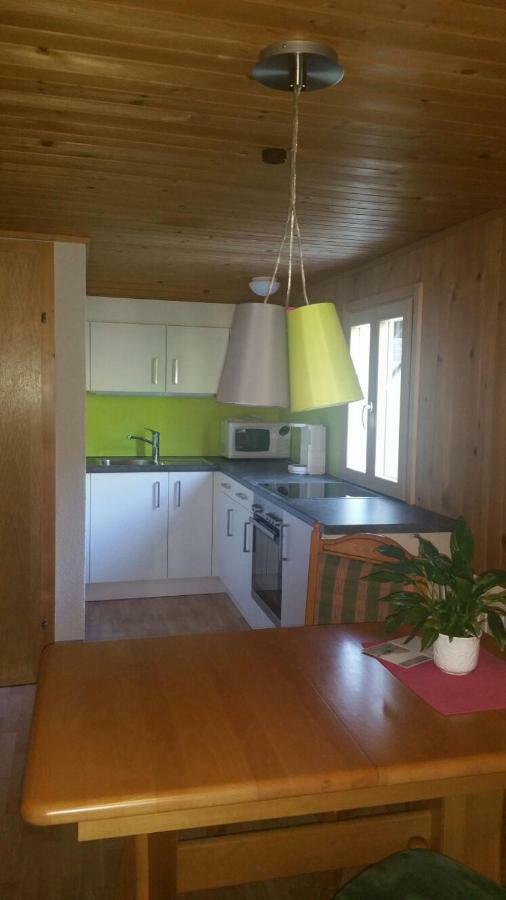 Haus Silke Appartement Silbertal Buitenkant foto